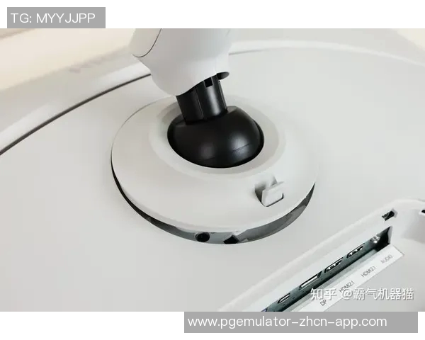 pg电子游艺味酶3yb。app-PG电子游艺与味酶科技的融合创新，探索未来游戏新纪元-pg电子游艺味酶3yb。app